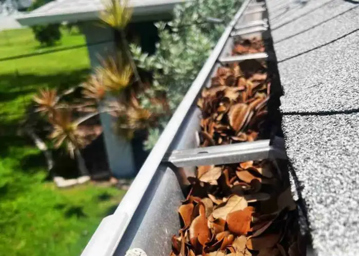 Gutter Cleaning Arredondo home page