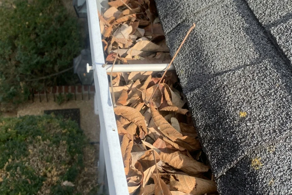 Gutter Cleaning Arredondo